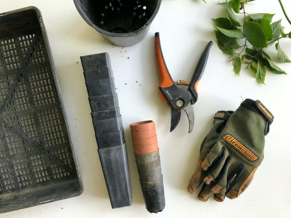 Gardening tools laid out on a table